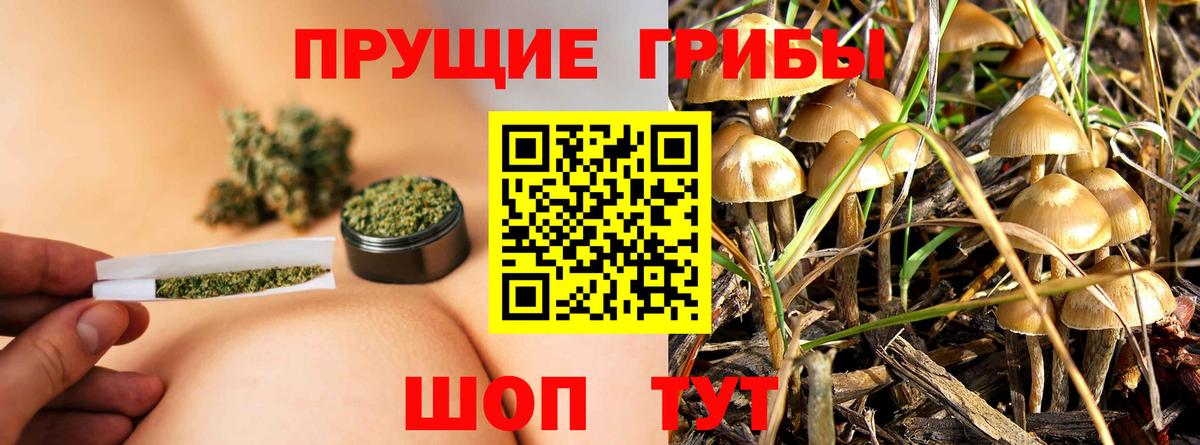 Псилоцибиновые грибы мицелий Шахты